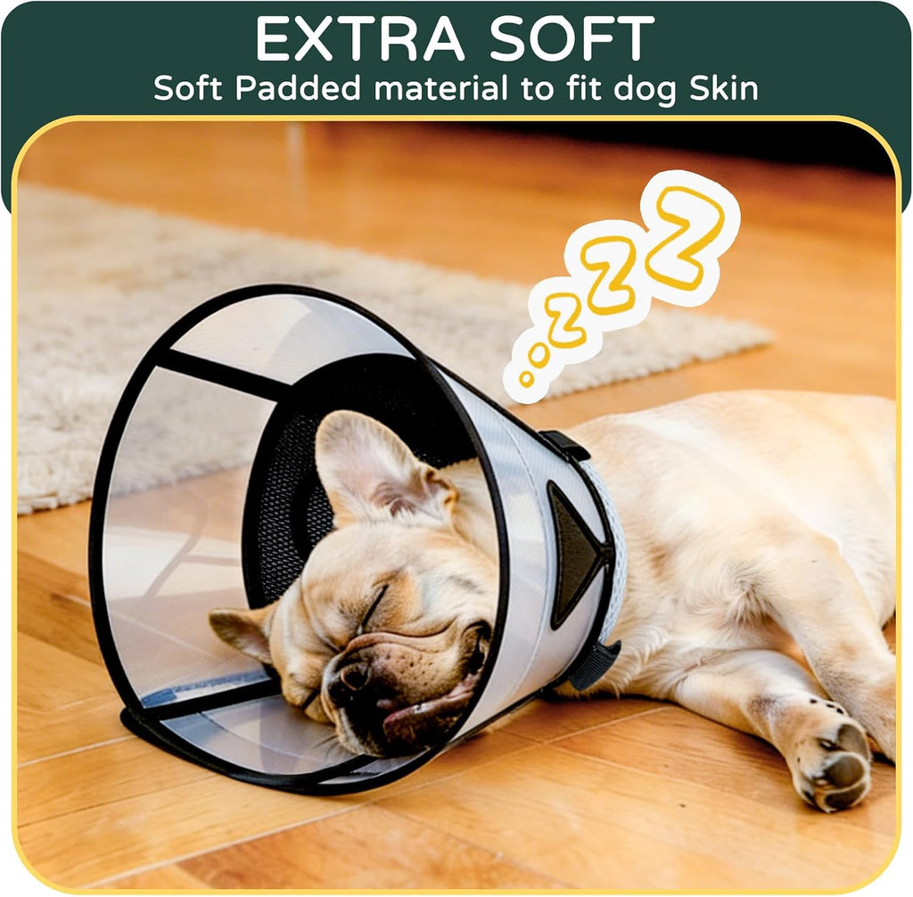 Side profile of large dog wearing Reomore recovery e collar