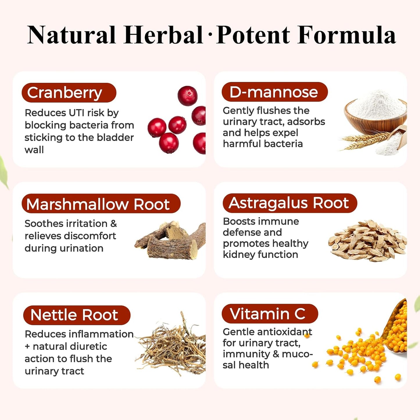 Back label of Legitpet dog cranberry chews showing D-Mannose ingredients