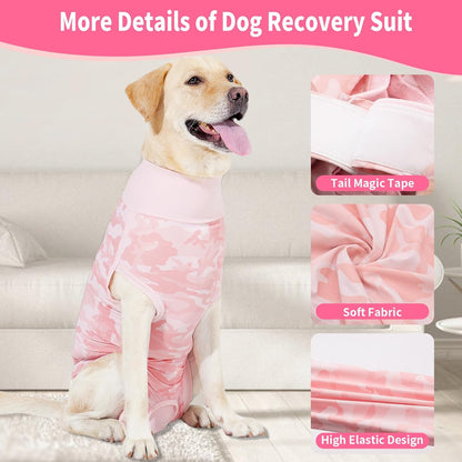 Side view of female dog in breathable spay surgery suit