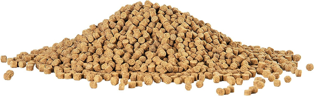 Aqueon bottom feeder fish food pellet size demonstration