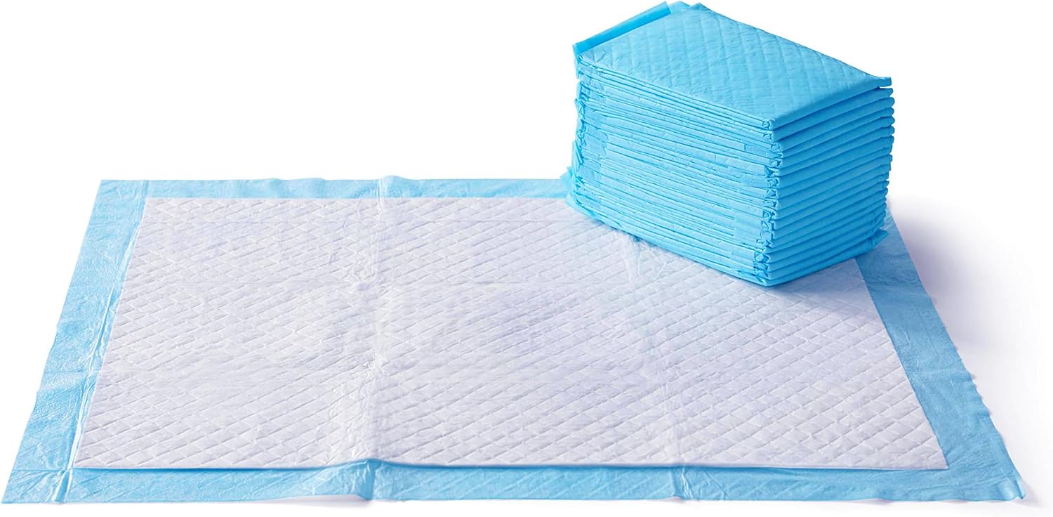 Puppy standing on the quick dry surface of an extra large Amazon Basics pad