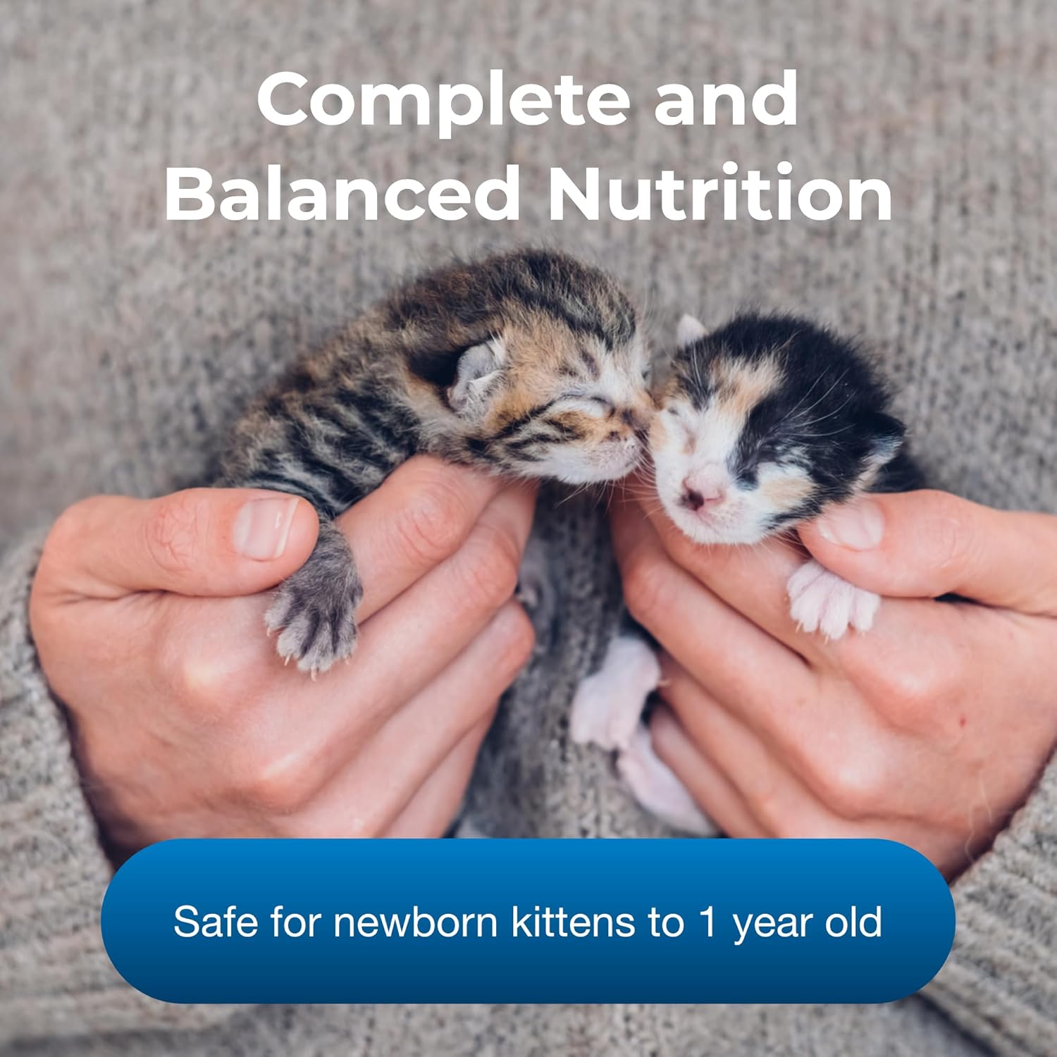 Four pack of PetAg KMR powdered kitten formula for newborn kittens up to six weeks