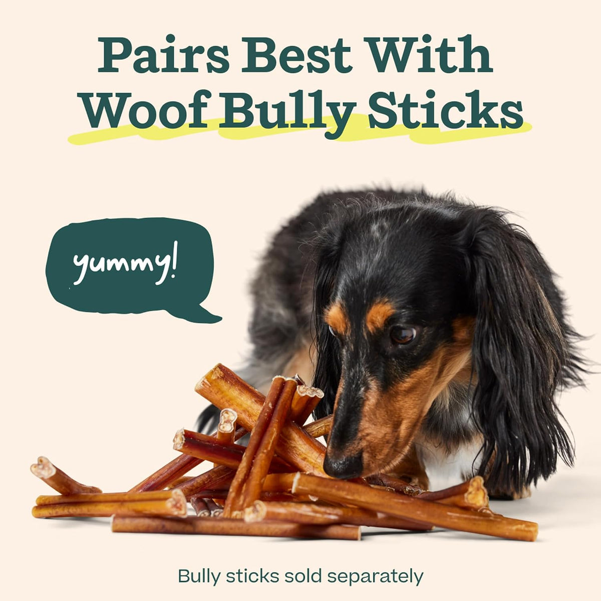 Durable nylon construction of Woof BullySafe toy