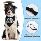 Lensless pet cosplay glasses with adjustable anti slip strap