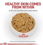 Royal Canin Veterinary Diet Canine Hydrolyzed Protein packaging back showing ingredients