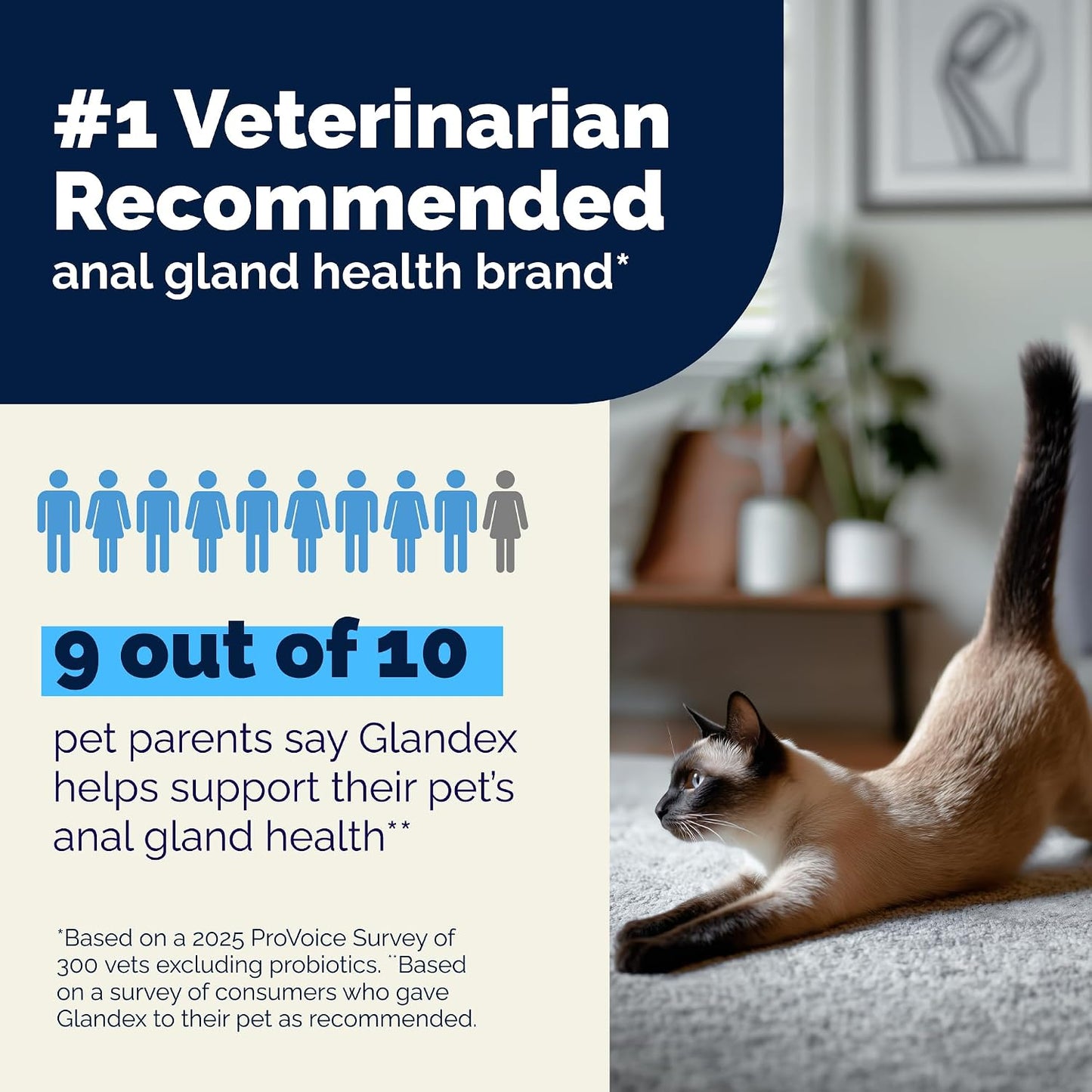 Vet recommended feline supplement for stool firming and healthy anal sac function