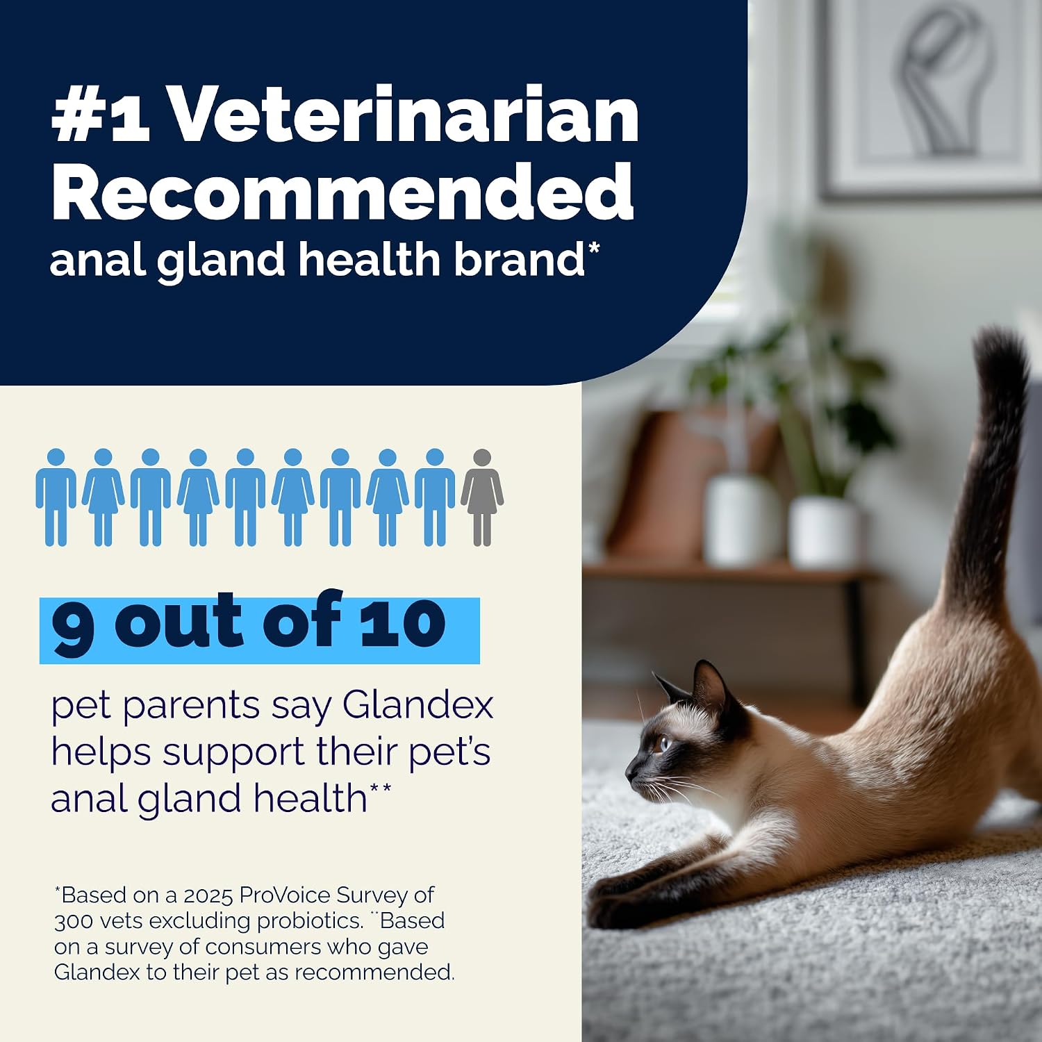 Vet recommended feline supplement for stool firming and healthy anal sac function