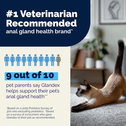 Vet recommended feline supplement for stool firming and healthy anal sac function
