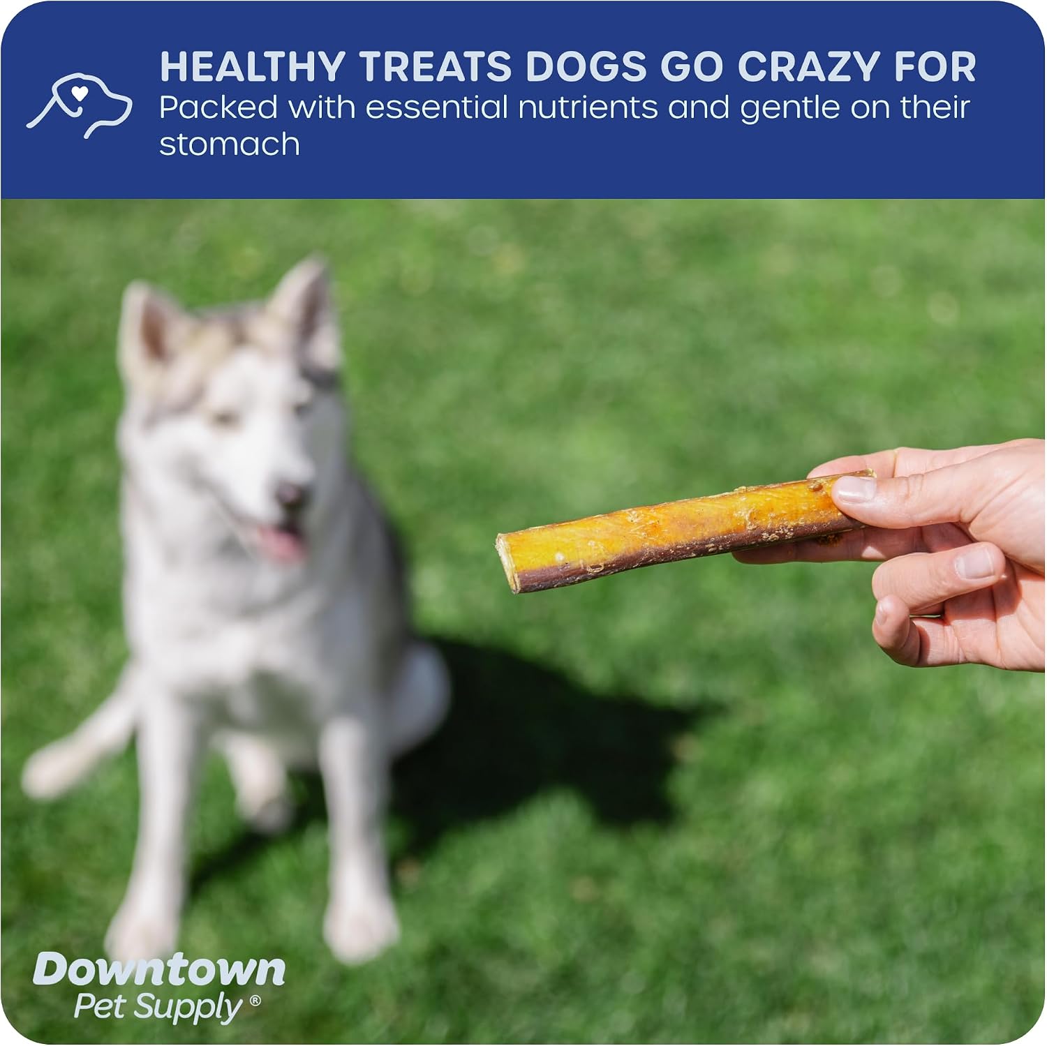 Low odor rawhide free single ingredient pet dental chews