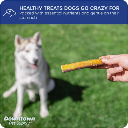 Low odor rawhide free single ingredient pet dental chews