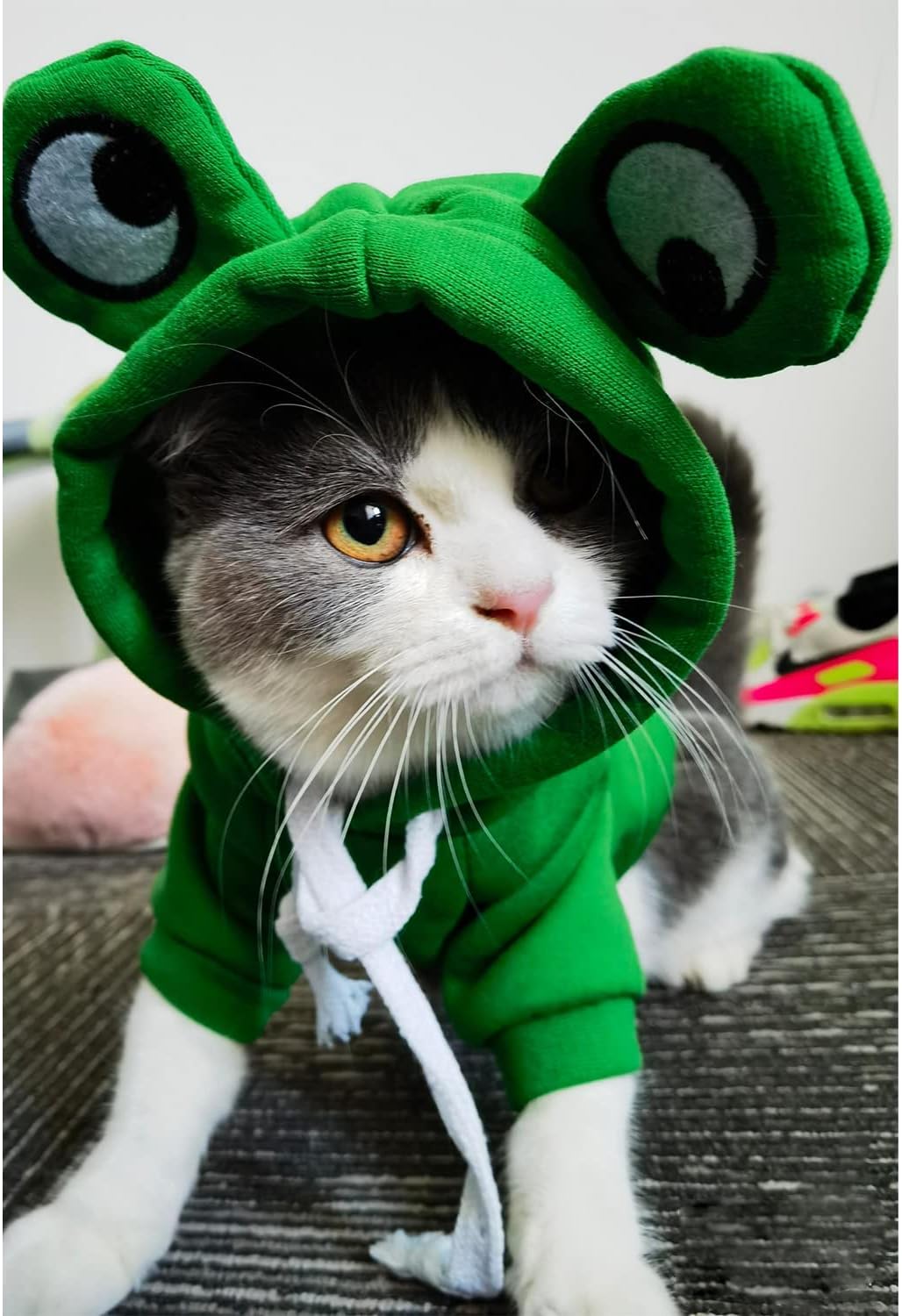 Close up of frog eyes detail on pet hoodie hood
