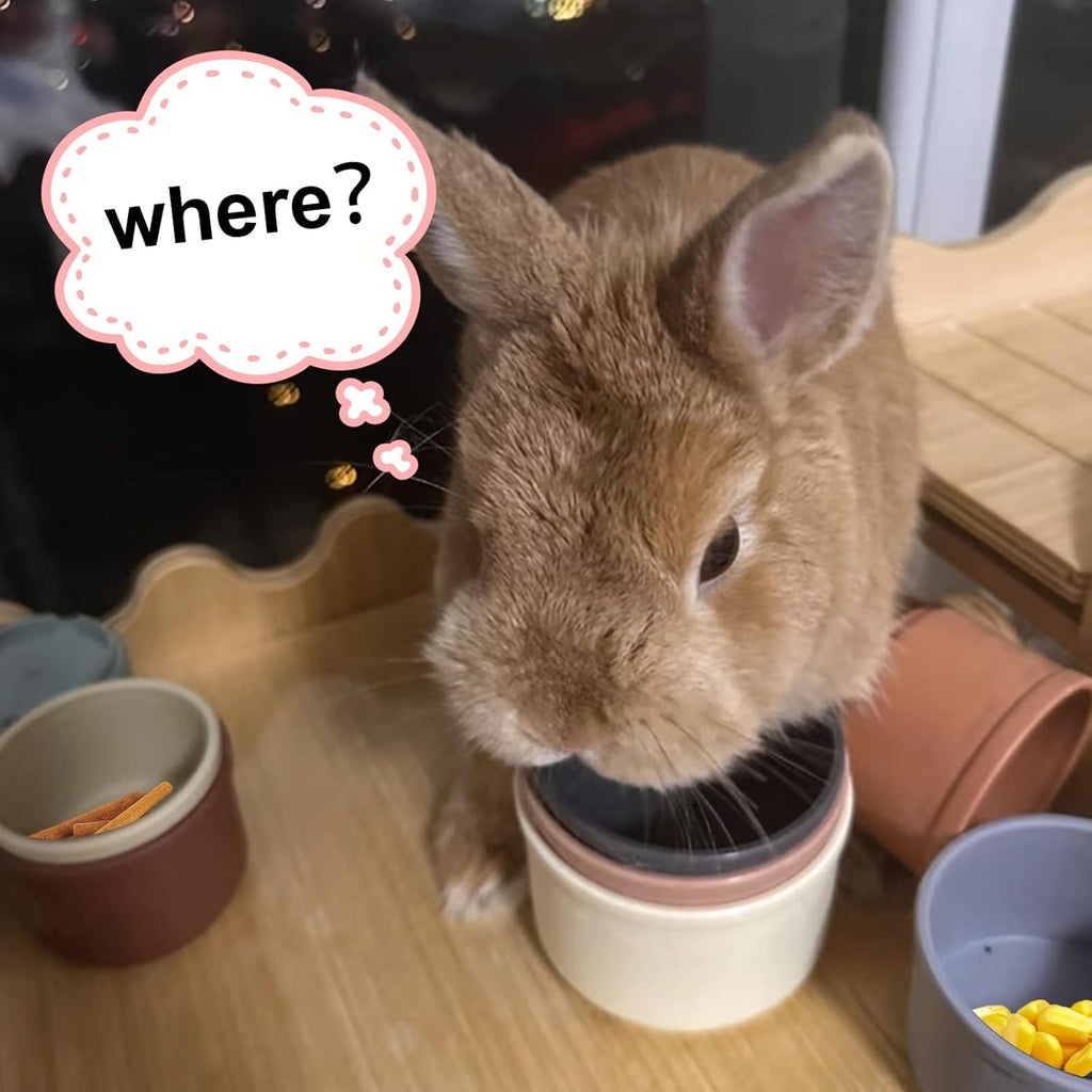 Durable rainbow colored bunny nesting cups being used as a slow feeder for small pets
