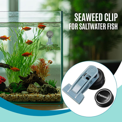 Two pieces compact white seaweed feeding clips for herbivorous fish