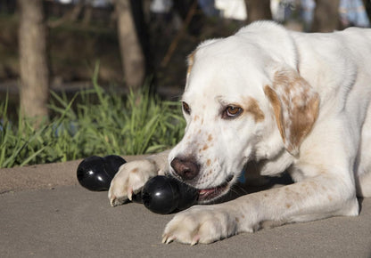 KONG Extreme Goodie Bone Medium showing patented treat dispensing Goodie Grippers