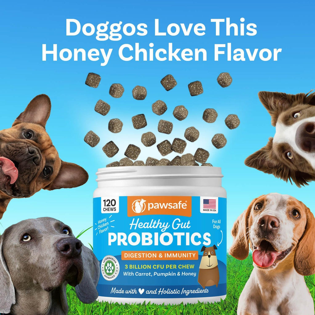 PawSafe natural pumpkin dog digestive chew treats for immune defense enhancement.