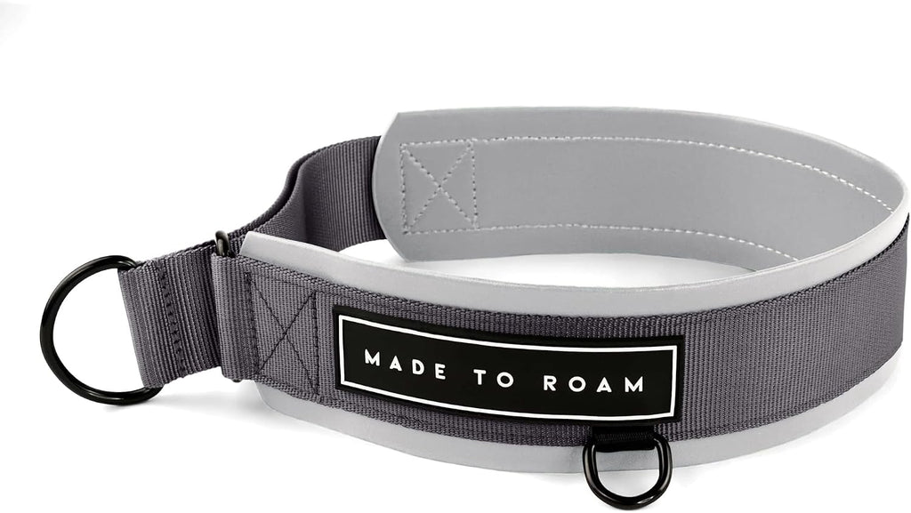Size 7 lightweight dog collar designed for small medium and large breeds.