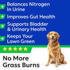 Bark and Spark dog supplement tub 120 count
