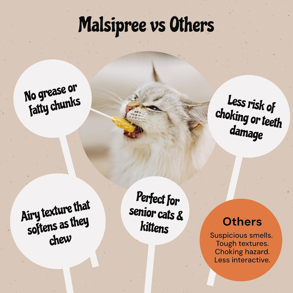 Pet owner holding a healthy low calorie MalsiPree cat lollipop snack to bond with a kitten.