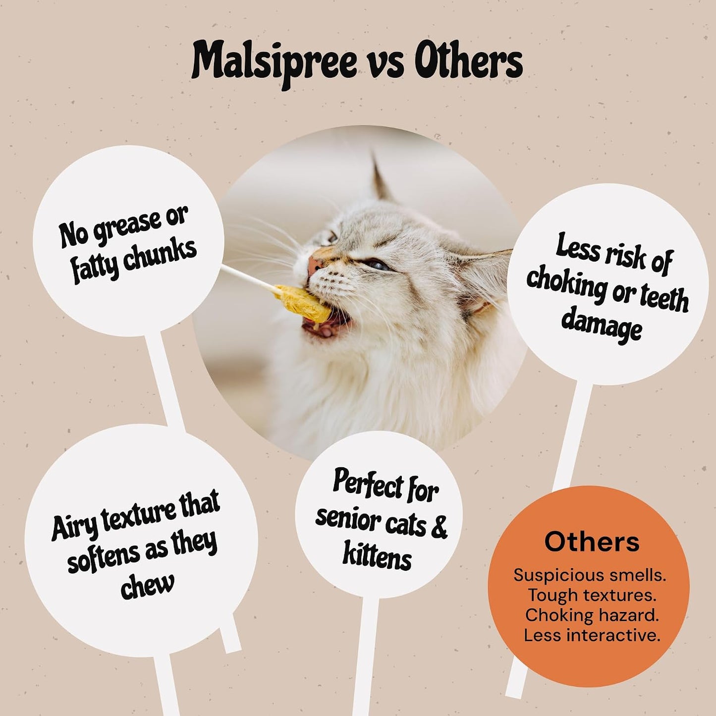 Pet owner holding a healthy low calorie MalsiPree cat lollipop snack to bond with a kitten.
