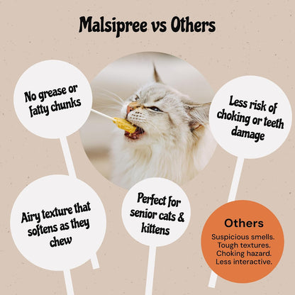Pet owner holding a healthy low calorie MalsiPree cat lollipop snack to bond with a kitten.