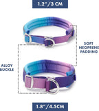 Instructions for wearing the Spark Paws slip-on dog collar