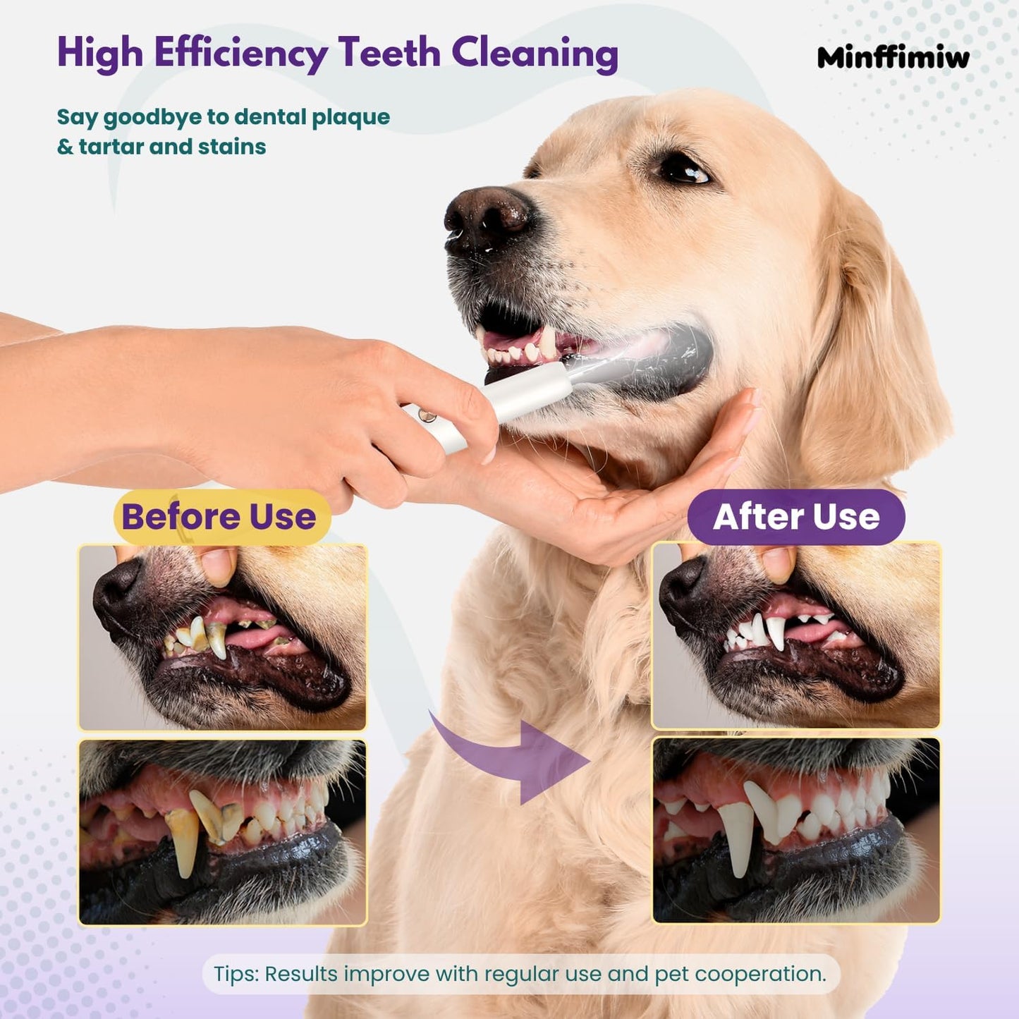 Pet dental cleaning kit with 5 modes and stainless steel tips