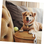 Hemoton lucky longevity lock charm accessory for small dogs