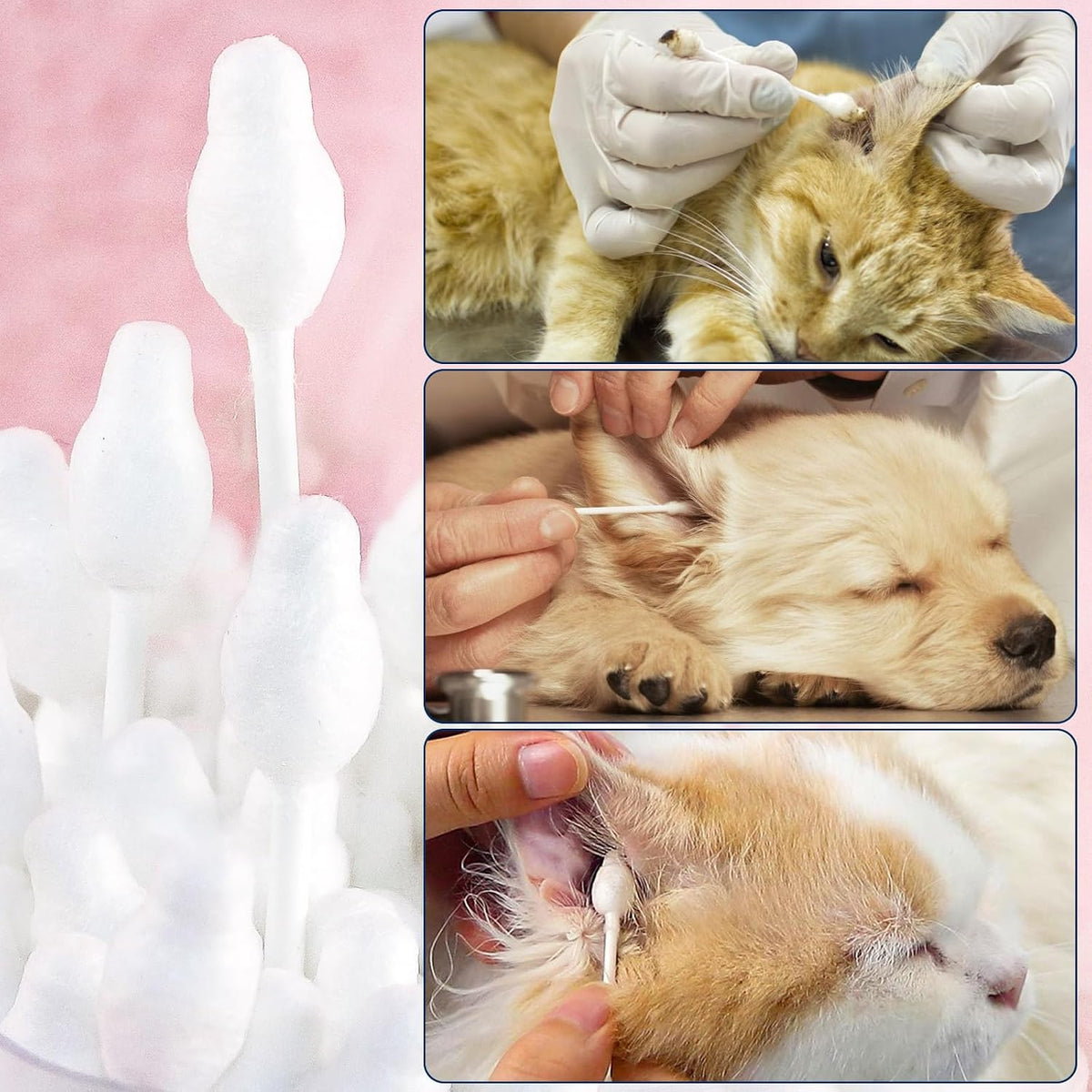 High absorbency cotton tips for cat ear care