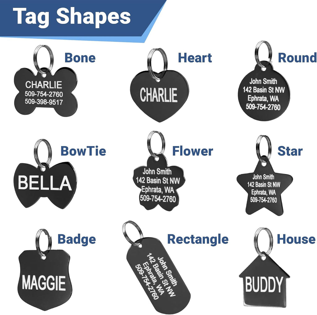 GoTags custom engraved pet tag showing polished mirror finish