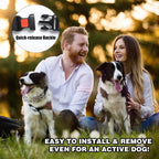 Authentic USA imported Yvnicll pet training equipment package contents with extra rubber caps