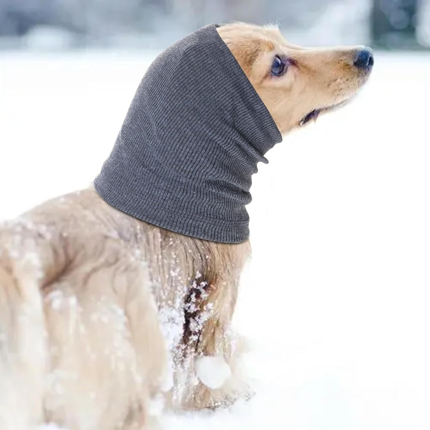 Dog wearing grey winter ear scarf for cold protection