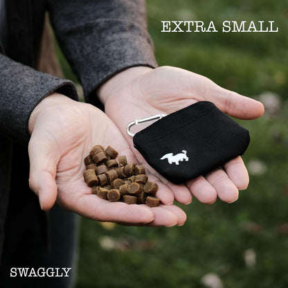 Swaggly discreet training treat pouch attached to a leash