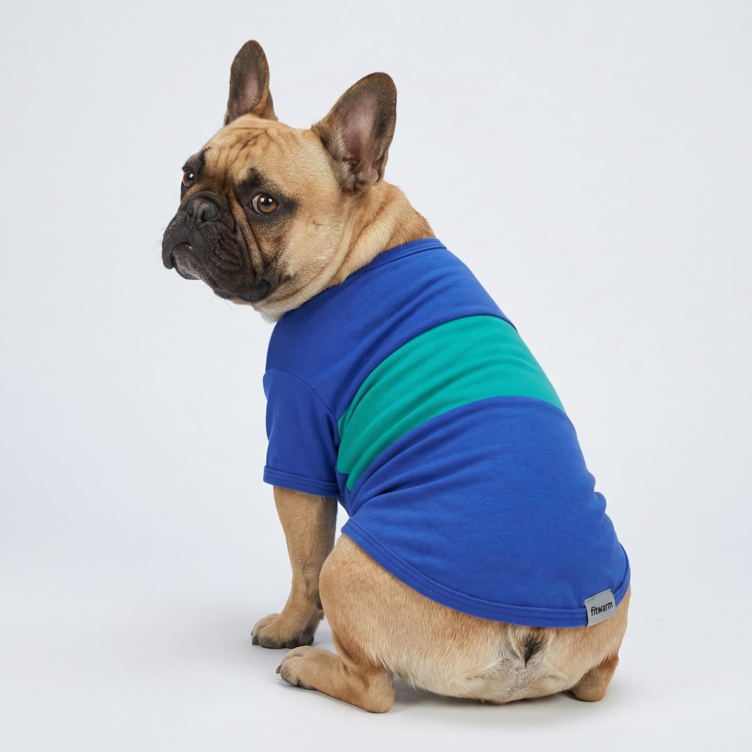 Teal color block Fitwarm dog shirt fabric texture