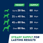 STRELLALAB Anal Gland Support Chews - Scoot Treatment - Digestive Enzymes, Prebiotics & Fiber Supplement for Dogs Digestion & Gut Health. Proprietary Blend of Beet, Psyllium, Dandelion & Pumpkin 120Ct - Image 9