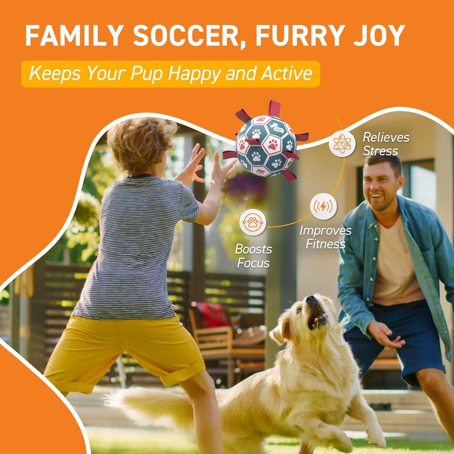 Small dog fetching the QDAN dog soccer ball in the grass