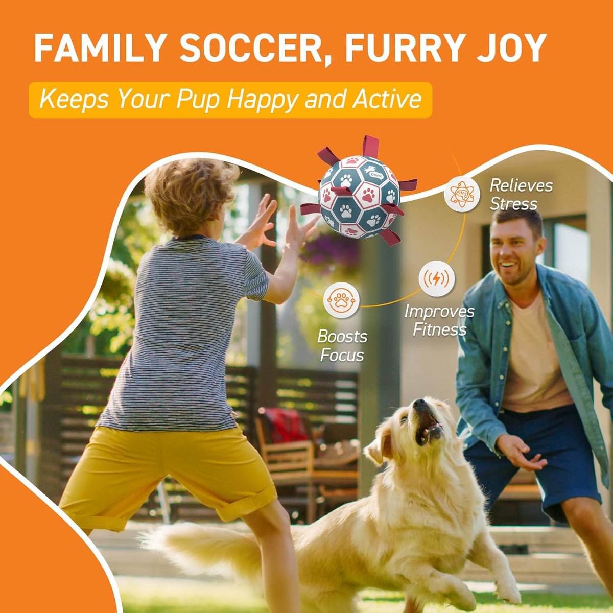 Small dog fetching the QDAN dog soccer ball in the grass