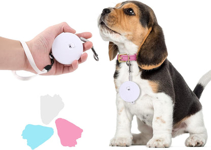 Small dog being walked with blue retractable leash in park