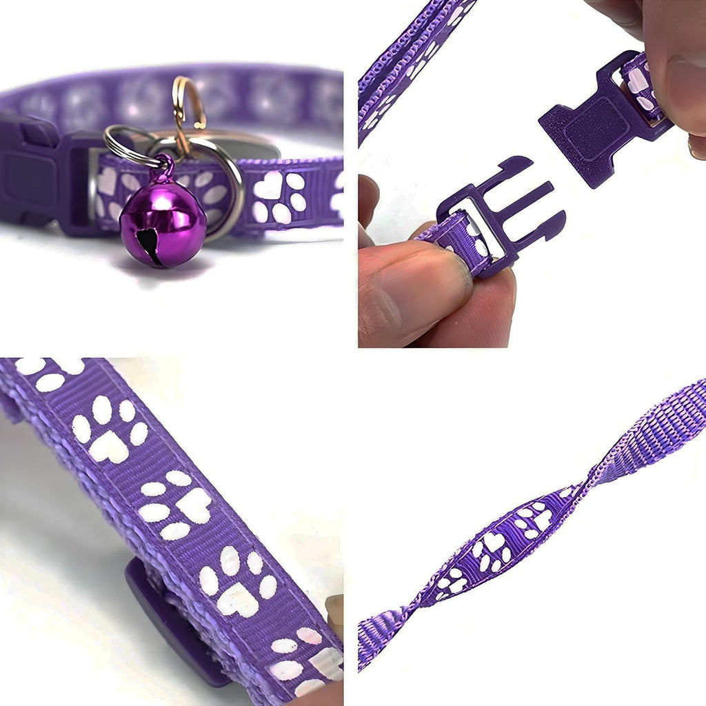 Detailed view of the highly visible reflective strip on the Dapperly India cat collar strap.