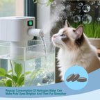 Travel friendly packaging for pet hydrogen water tablets