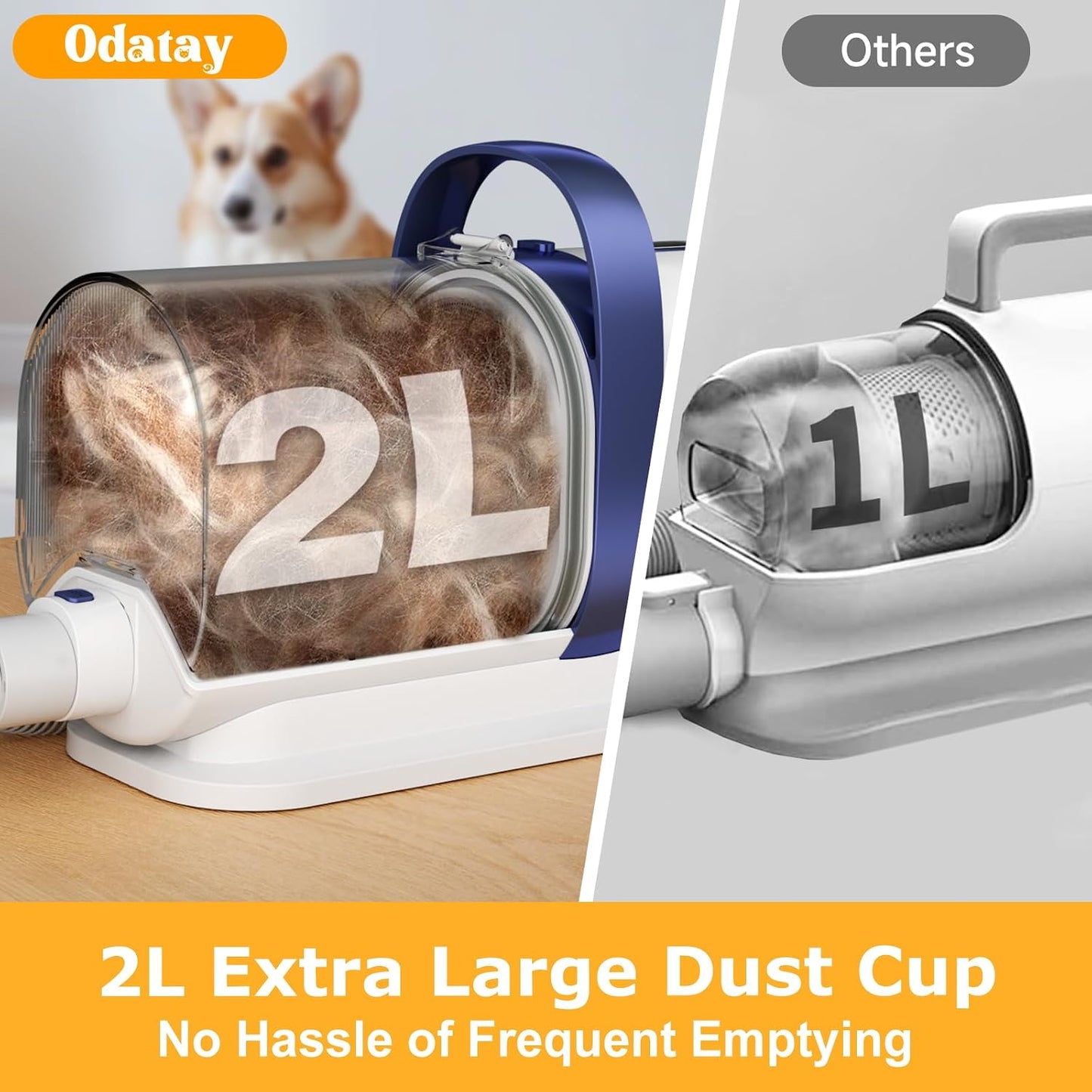 Seven in one pet care accessories layout including deshedding brush and nozzle