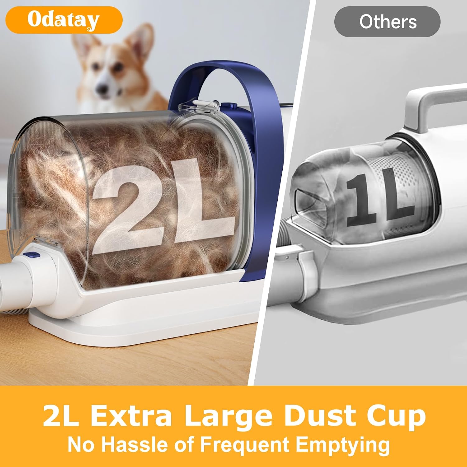 Seven in one pet care accessories layout including deshedding brush and nozzle