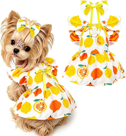 ABRRLO toy breed cat and dog clothes collection pack highlighting the extra small sizing dimensions.