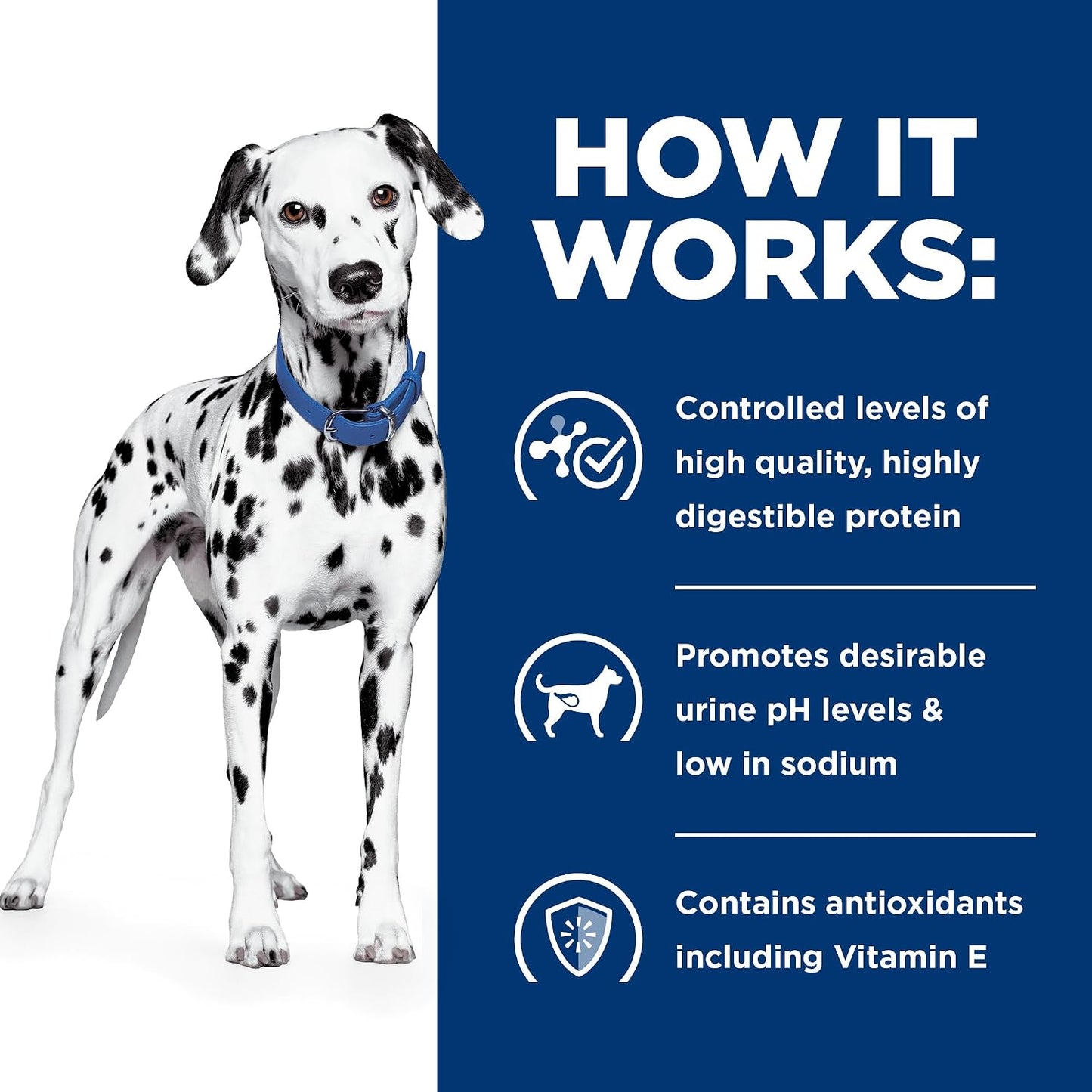 Premium veterinary therapeutic diet dog food for urate and cystine stone control