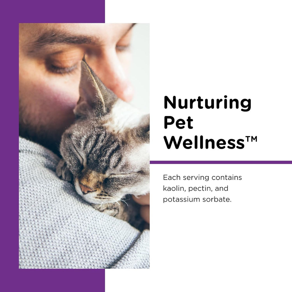 Pectin and kaolin formula for cat diarrhea treatment close up