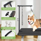 Dog grooming arm showing no sit haunch holder and loop