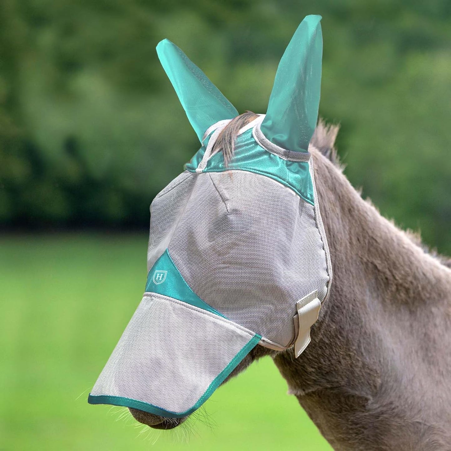 Red and grey Harrison Howard mule fly mask packaging view
