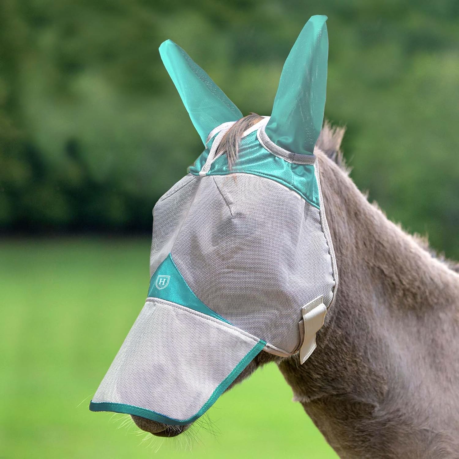 Red and grey Harrison Howard mule fly mask packaging view