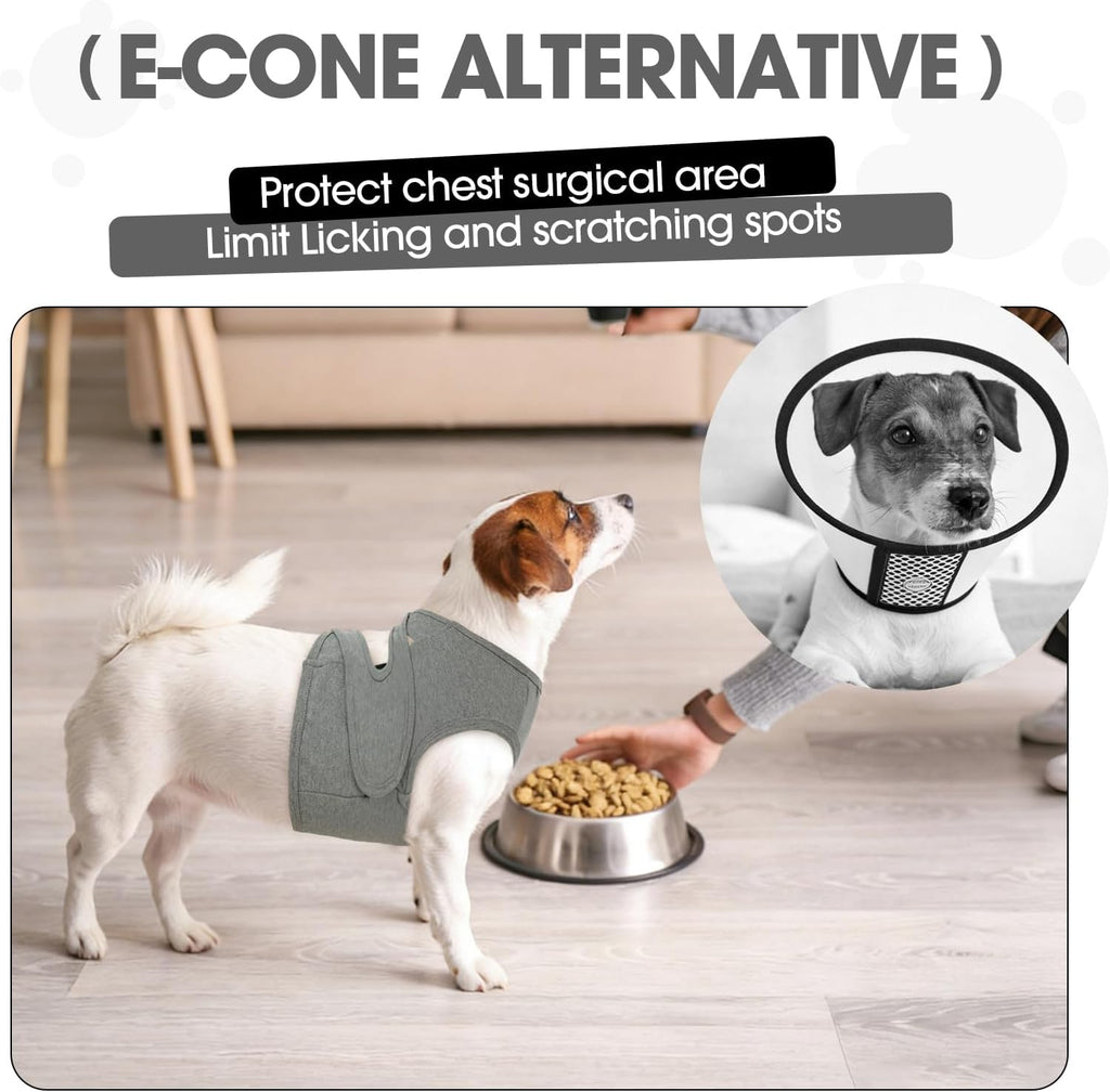 Dog wearing grey surgical suit resting comfortably