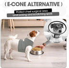 Dog wearing grey surgical suit resting comfortably