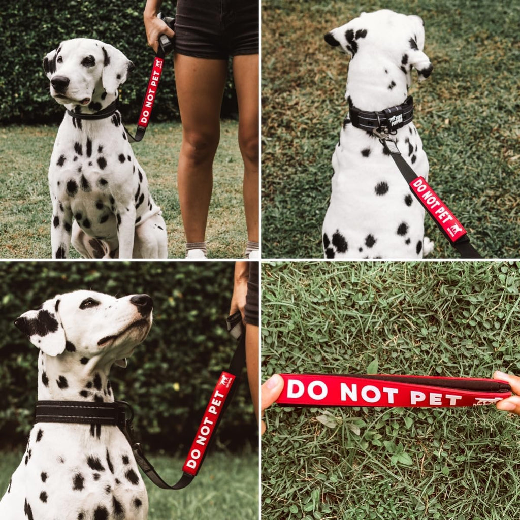 High visibility reactive dog leash warning accessory for outdoor walks